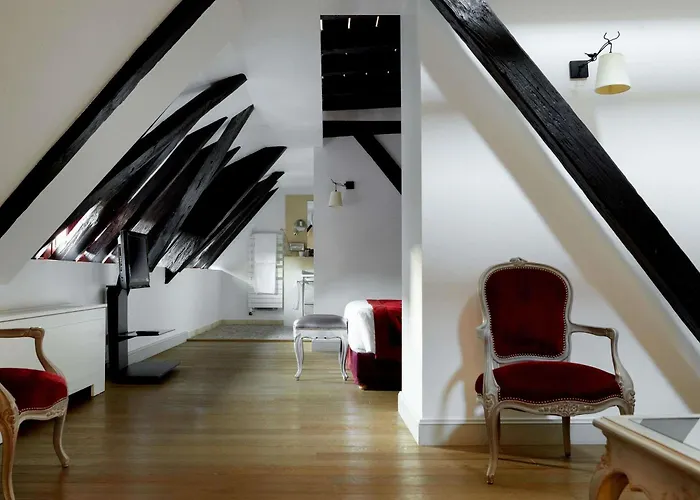 Cour Du Corbeau - Mgallery Hotel 4*